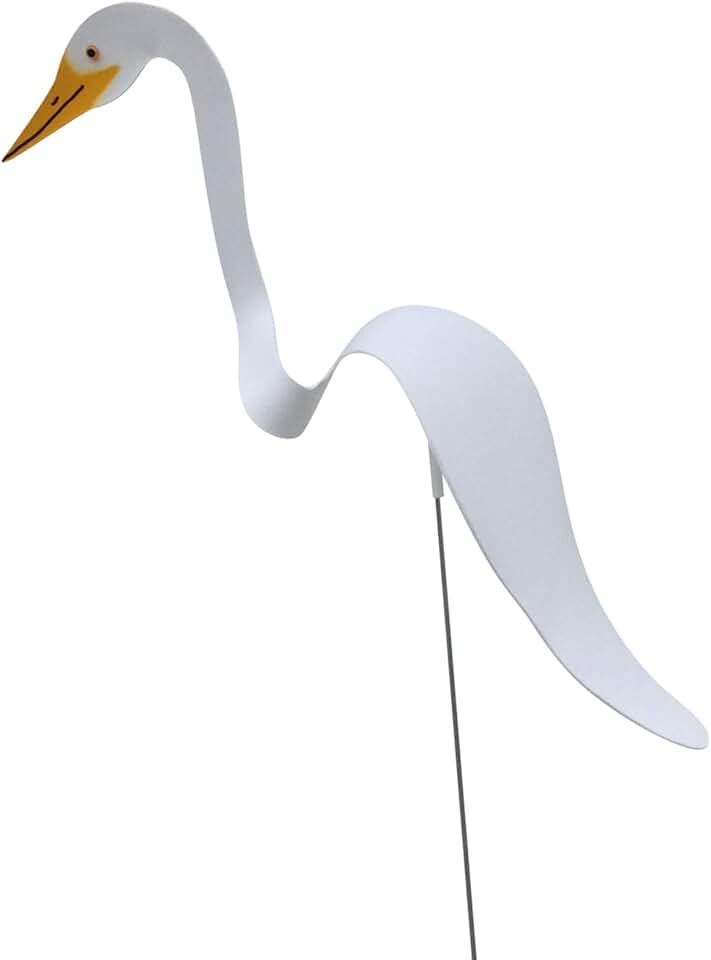 Dancing Yard Egret