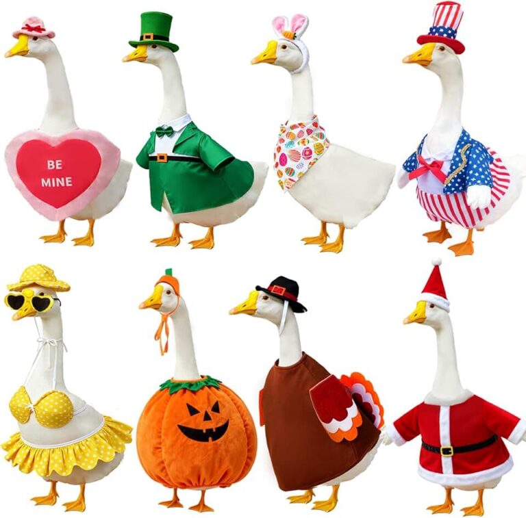 Holiday Porch Goose Outfits