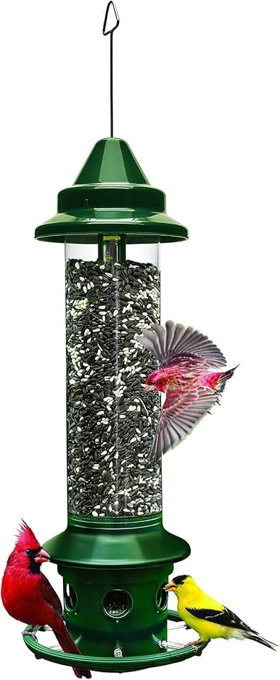 Squirrel Buster Plus