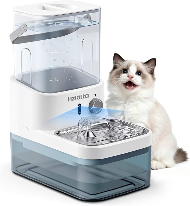 Wastewater Cat Fountain