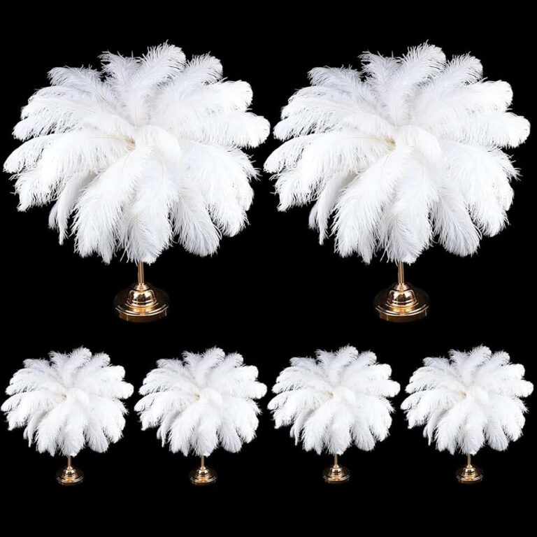 XunYee Ostrich Feathers