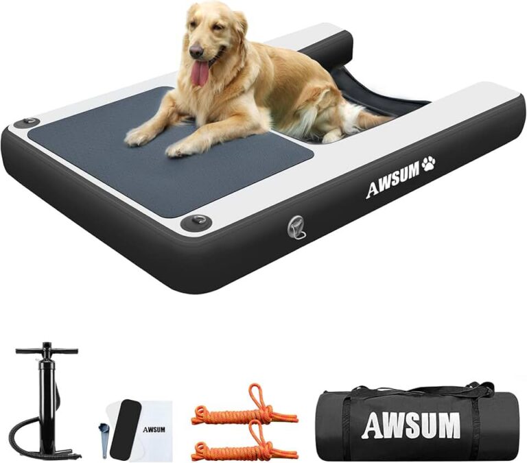 AWSUM Dog Boat Ramp