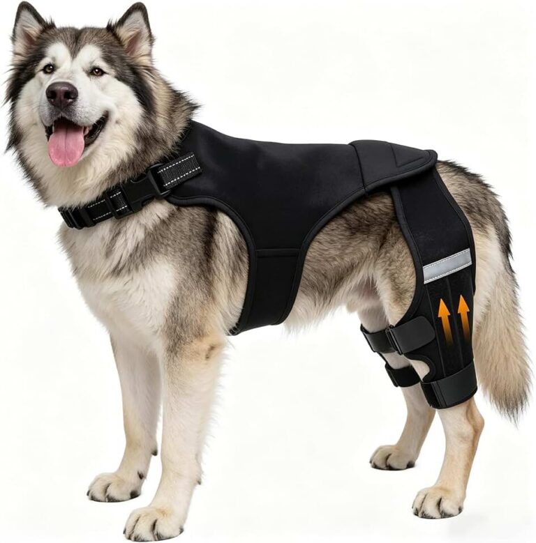 Dog Knee Braces