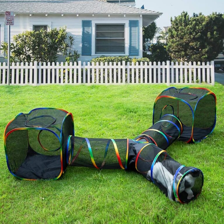 Rainbow Cat Enclosure Playground