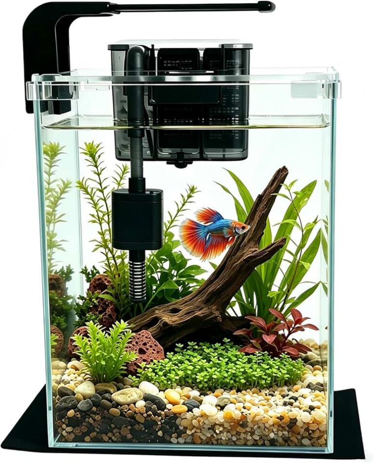 Vimvins 5 Gallon Fish Tank